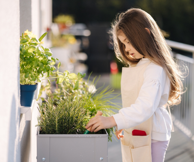 Fetita care ingrijeste plante intr-o jardiniera pe balconul unui apartament